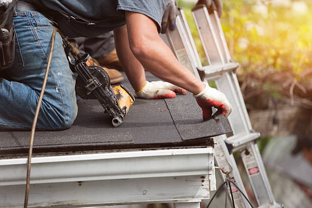 Best Roof Gutter Cleaning  in Bremen, GA