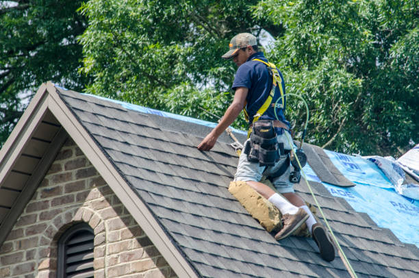 Best Flat Roof Repair Services  in Bremen, GA